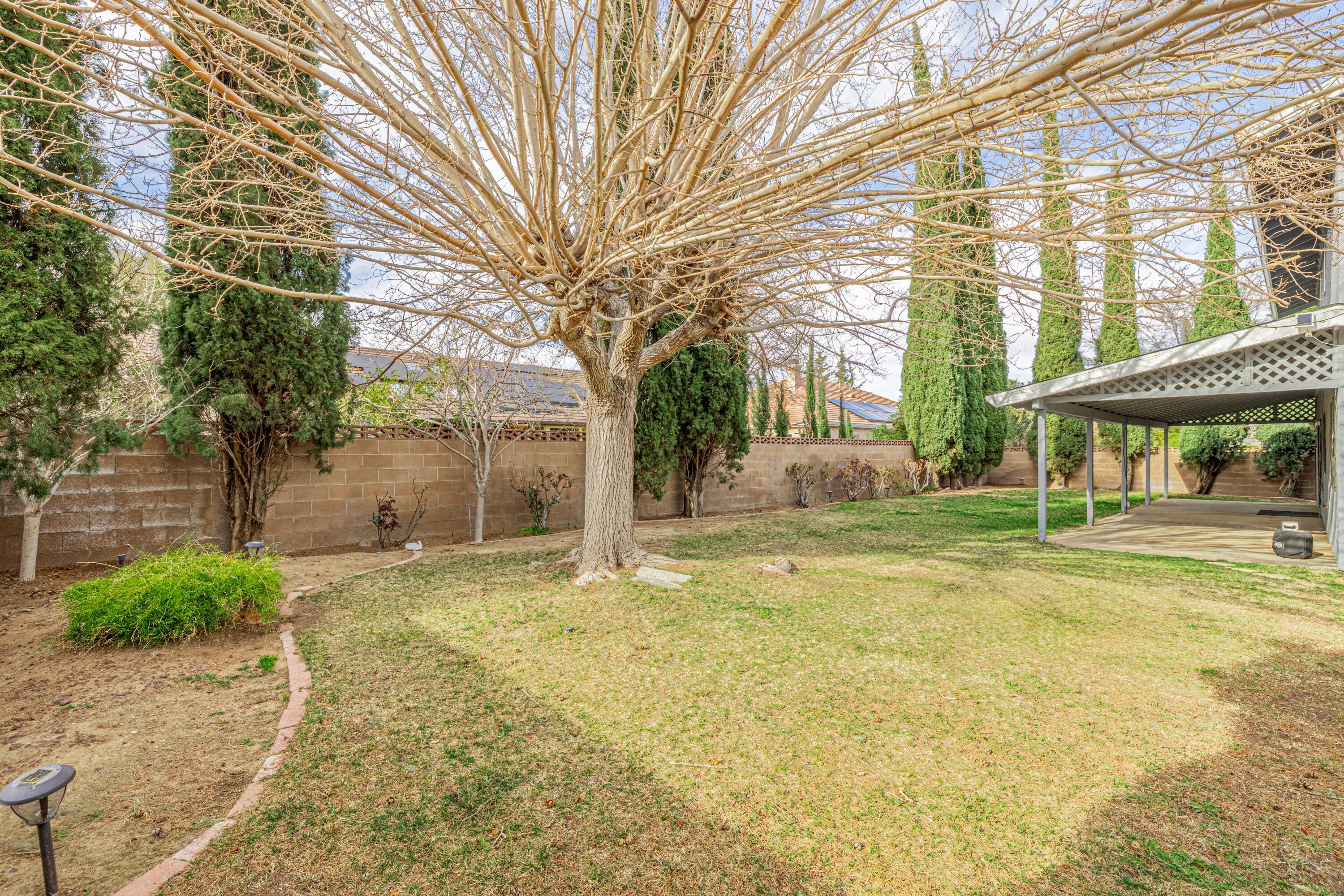 431 Fantasy Street Palmdale, CA 93551 - Photo 21 of 24 a view of yellow house with a large tree and plants