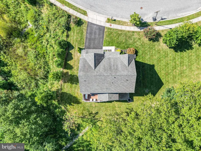 a view of a back yard