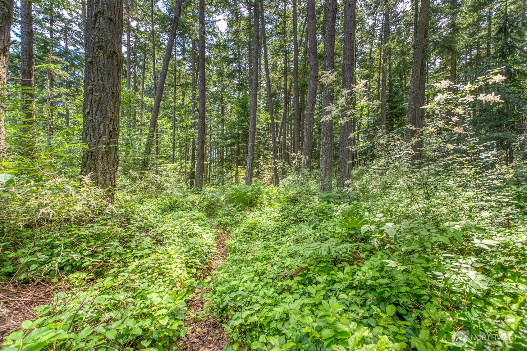 31 Colgan Creek Road Orcas Island, WA 98245 - Photo 39 of 40