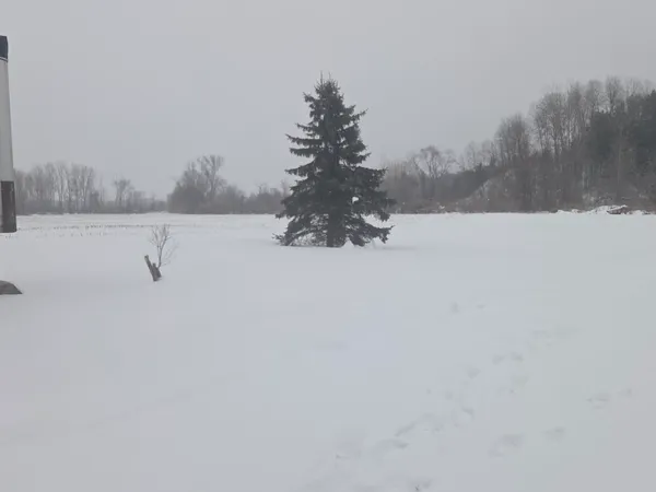 $650,000 | 13774 Maple Island Road, Twin Lake, MI 49457