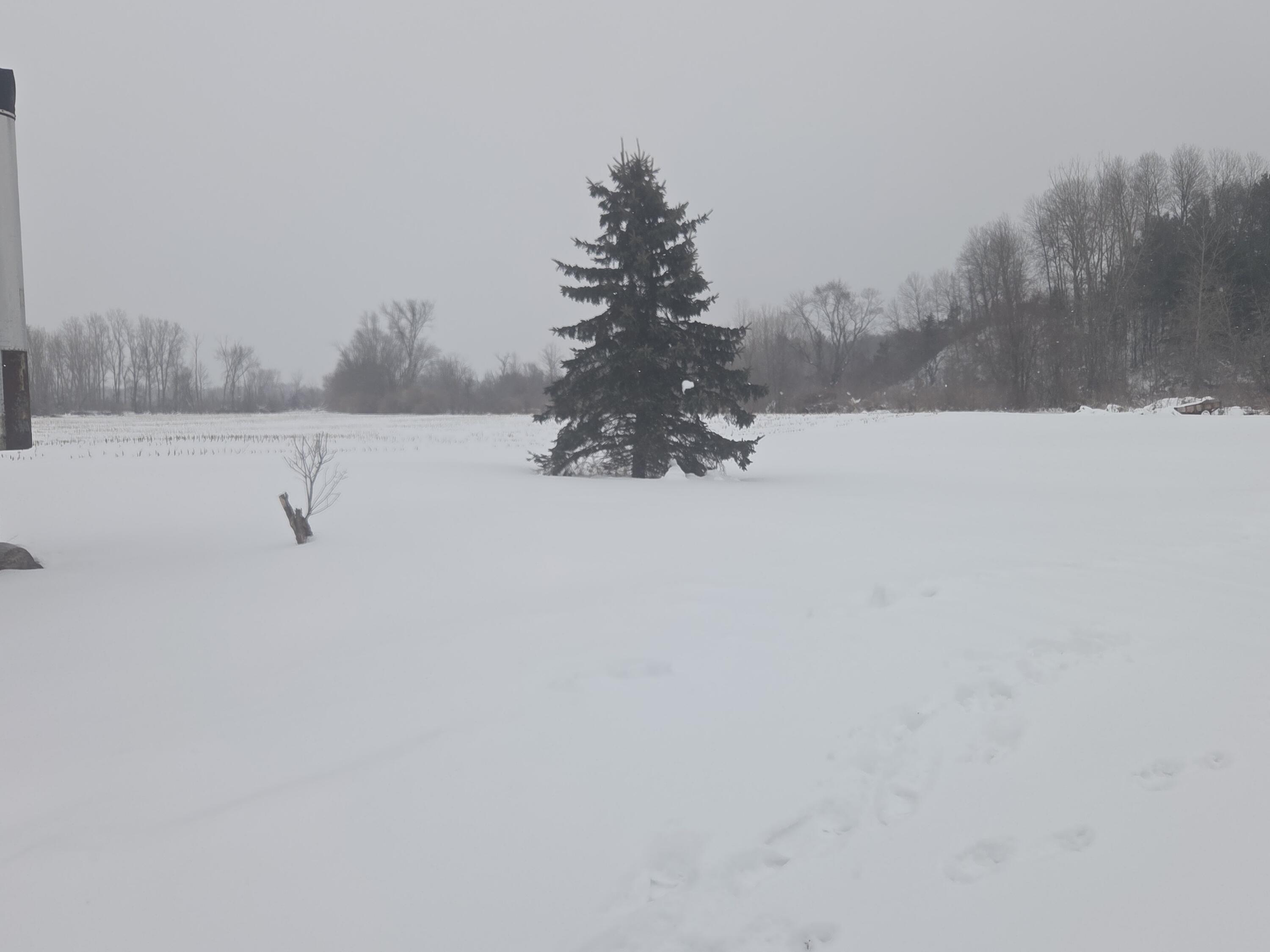 13774 Maple Island Road Twin Lake, MI 49457 - Photo 6 of 20 20260205_084907