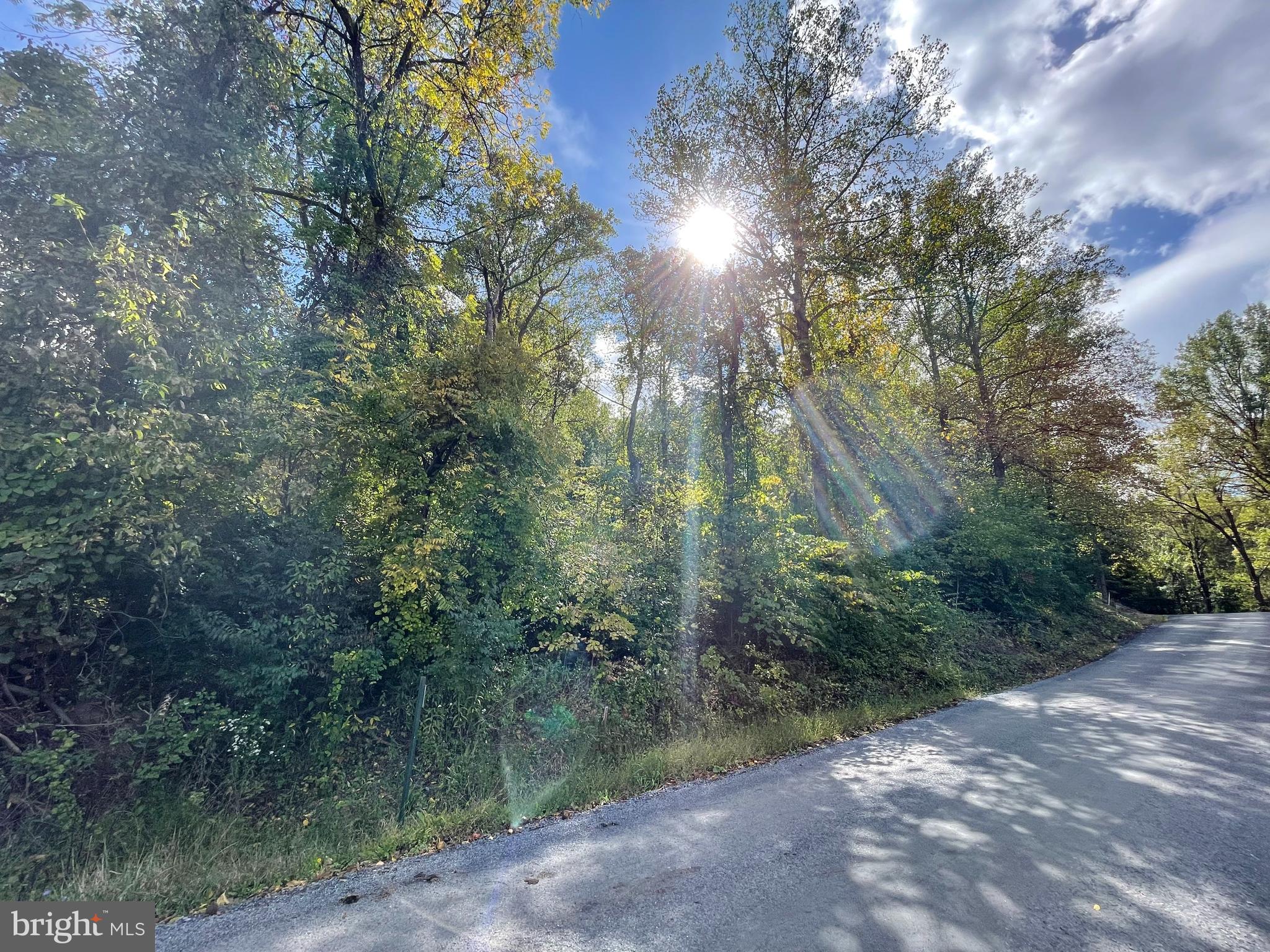 Venus Branch Road Front Royal, VA 22630 - Photo 1 of 6 a view of forest