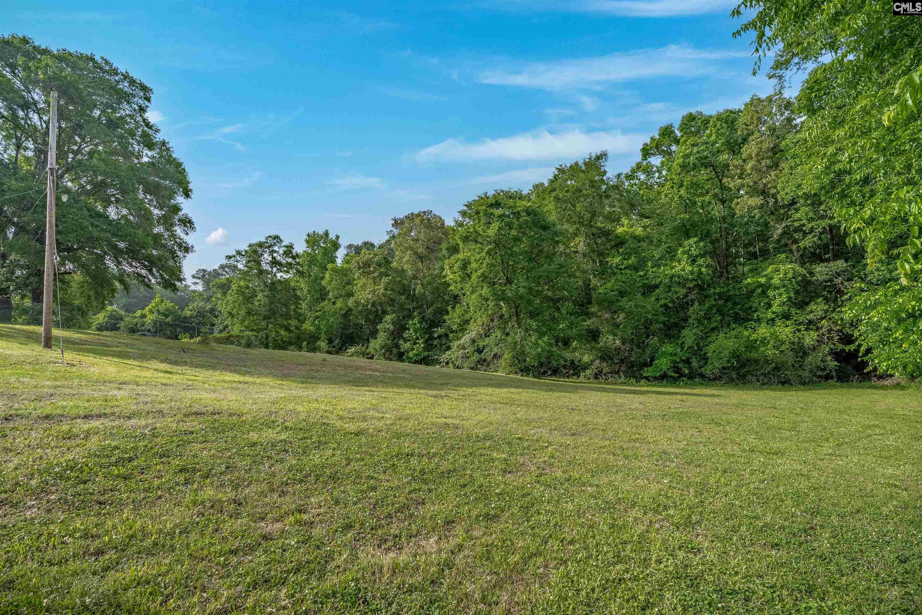 220 Nance Street Whitmire, SC 29178 - Photo 43 of 44