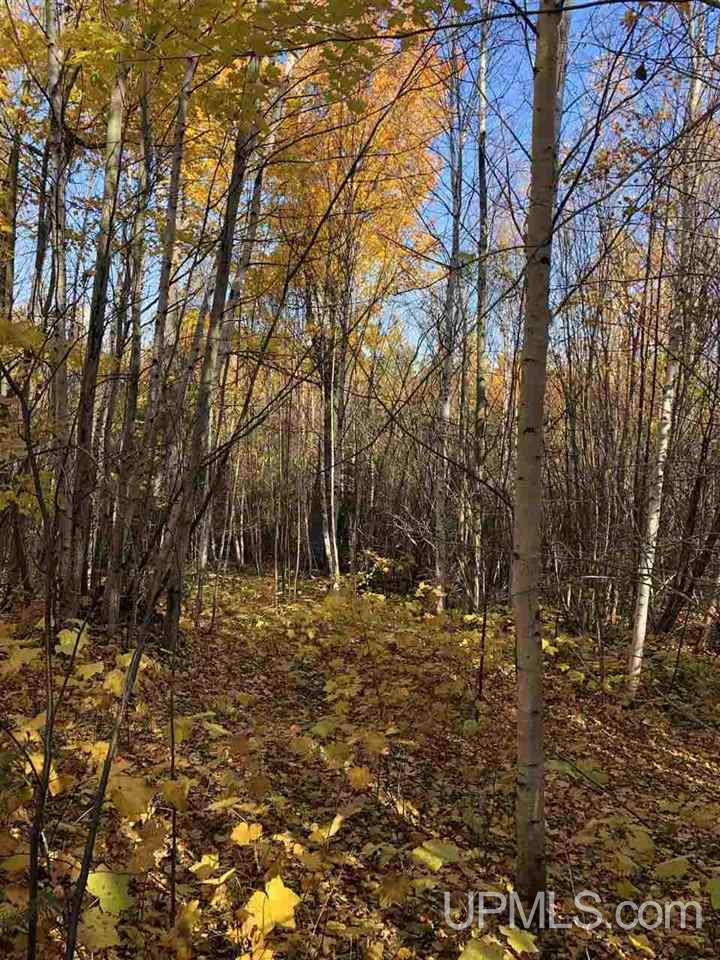 Tbd Tbd Kayleigh Road, Unit LOT 3 Mohawk, MI 49950 - Photo 5 of 5