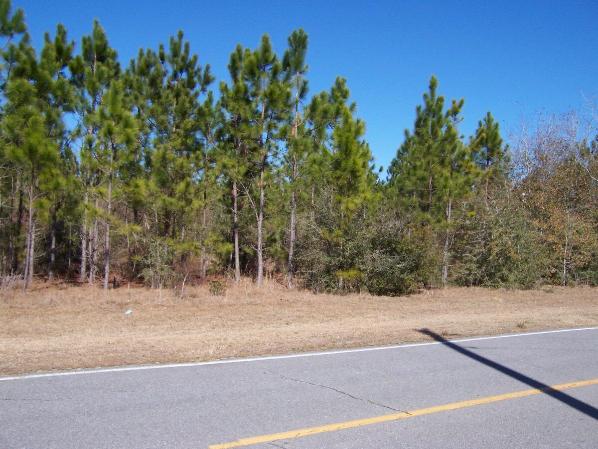 10-ac Williams Road DeFuniak Springs, FL 32433 - Photo 3 of 5 a view of a yard with a tree