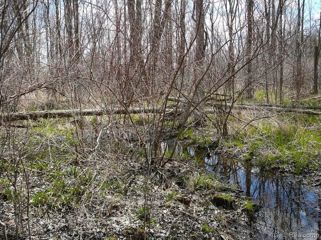 0 Brimley Road West Webberville, MI 48892 - Photo 15 of 36 2015-04-26 12.08