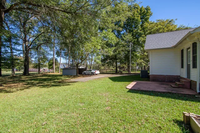 a view of a yard with plants and trees