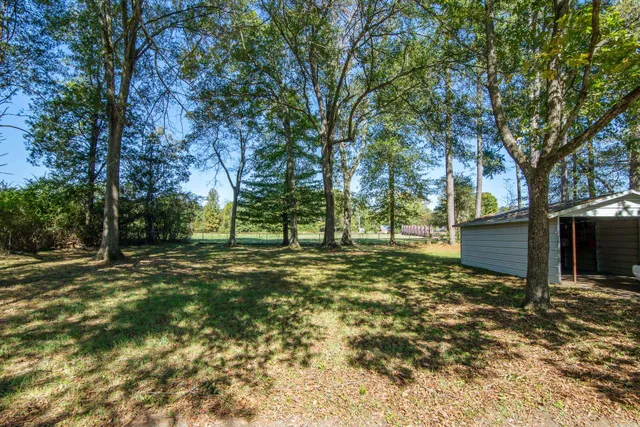 a view of a trees with a yard