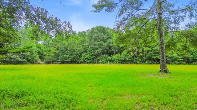 a view of yard with green space