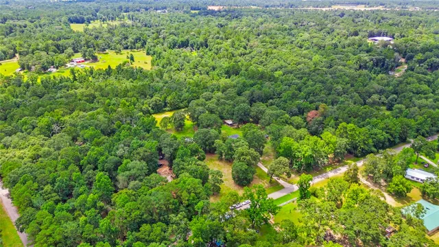 a view of a lush green forest with lots of trees