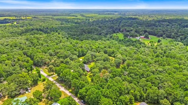 a view of a big yard with a large tree