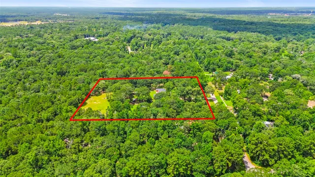 a view of a lush green forest with lots of trees