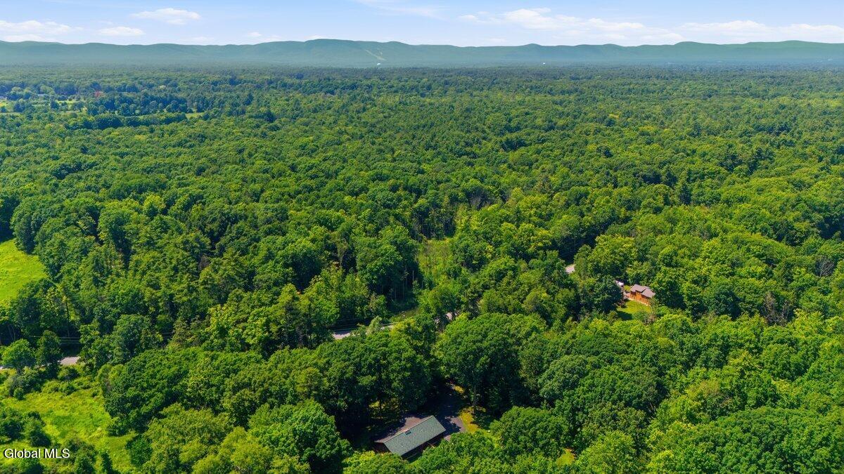 201 Burt Road Moreau, NY 12828 - Photo 4 of 26 007_DJI_20260708143000_0111_D