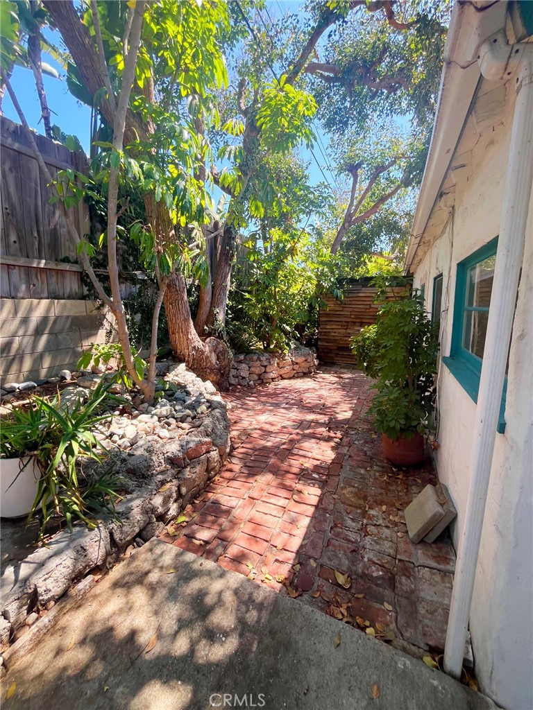 33910 Orilla Road, Unit 7 Dana Point, CA 92629 - Photo 34 of 50 a view of a backyard with plants and large trees