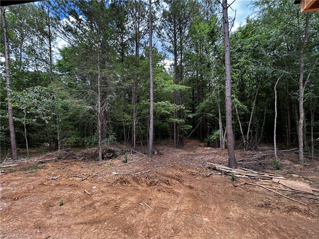 5140 Hopewell Church Road Trinity, NC 27370 - Photo 16 of 16