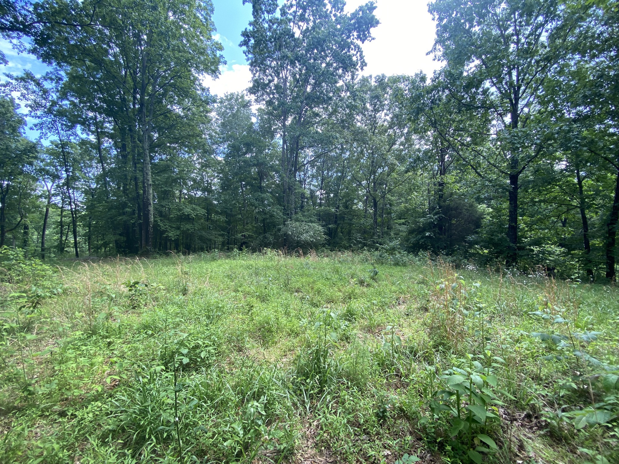 0 Gimlet Creek Road Lawrenceburg, TN 38464 - Photo 13 of 22
