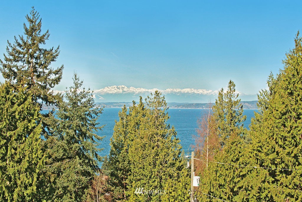 4322 Southwest Roxbury Street Seattle, WA 98136 - Photo 24 of 25 Gallery Image 24