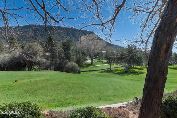 a view of a sign in a yard with potted plants