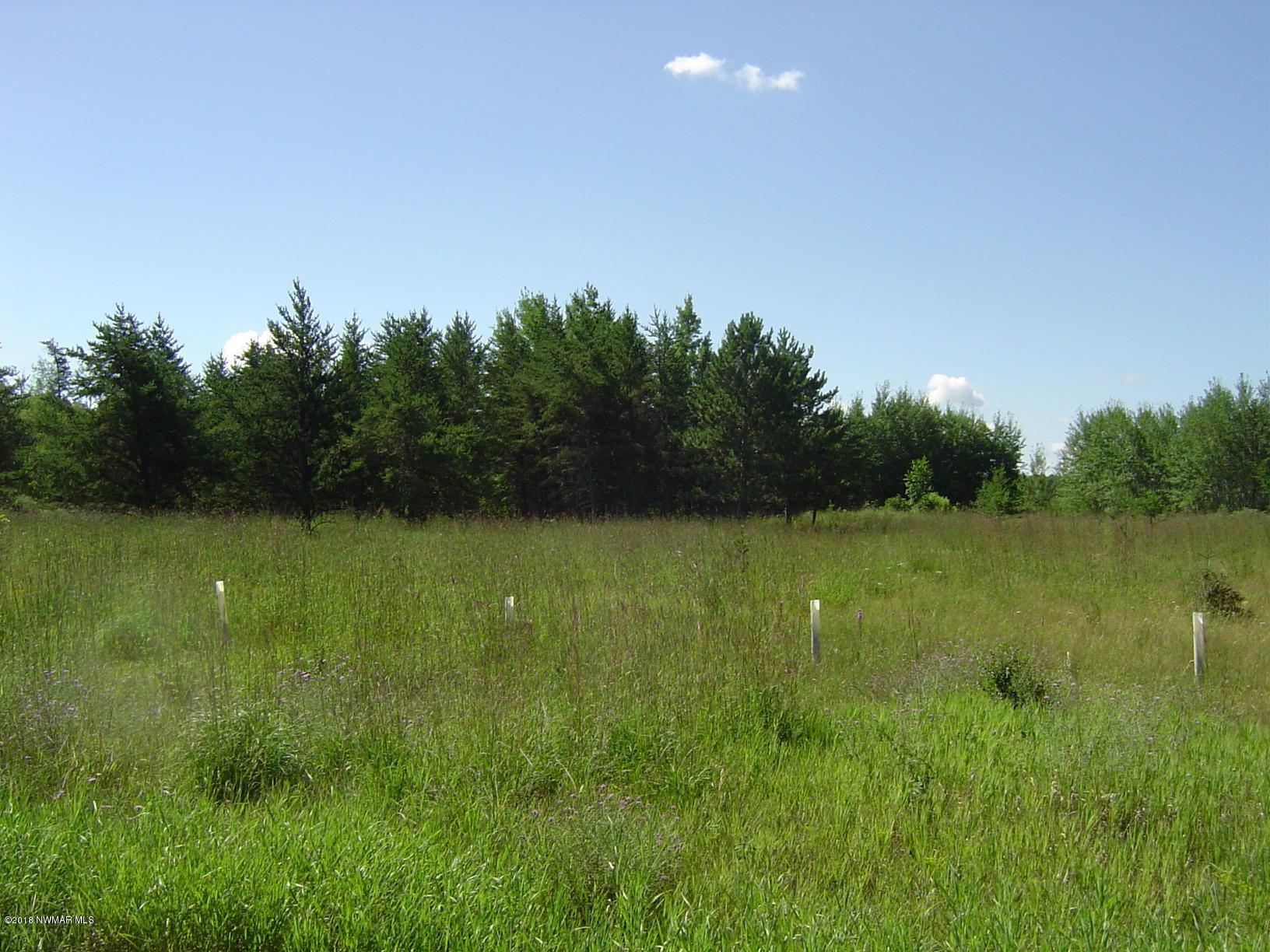 Blue Mayflower Road Northwest Bemidji, MN 56601 - Photo 1 of 1 Gallery Image 1