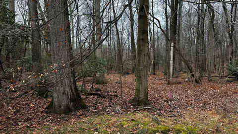 $999,000 | Undisclosed Address, New Canaan, CT 06840