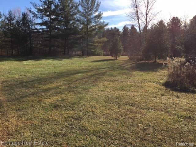 Vacant Baldwin Road Lake Orion, MI 48360 - Photo 6 of 11 Gallery Image 6