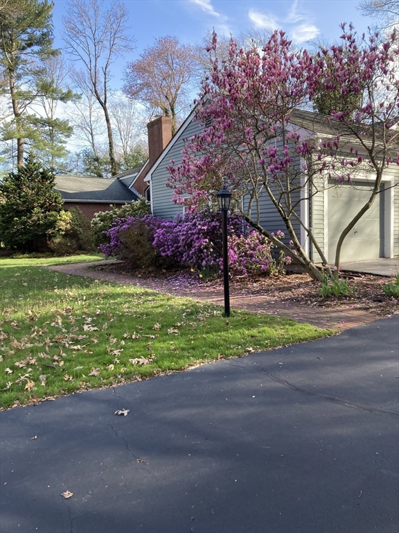 26 Bullard Road Weston, MA 02493 - Photo 30 of 31 a front view of a house with garden