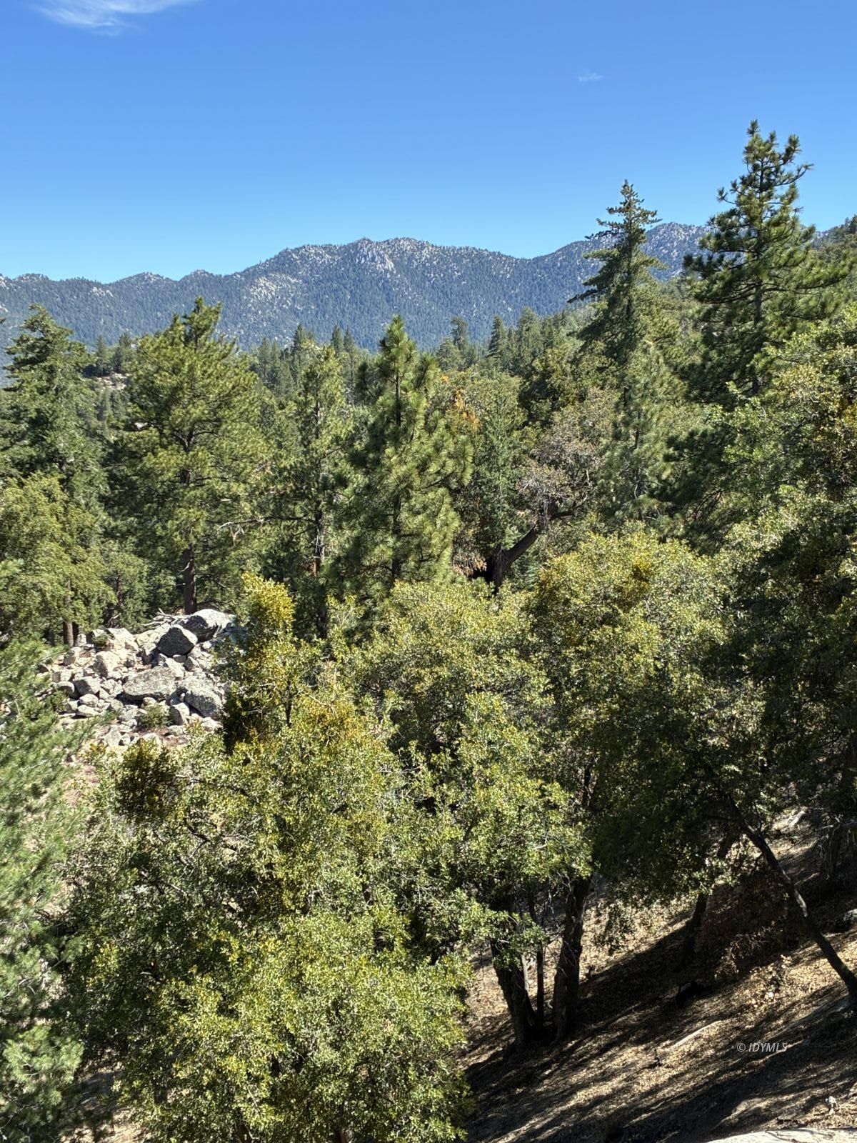 24930 Pine Cove Road Idyllwild, CA 92549 - Photo 3 of 25 Untitled