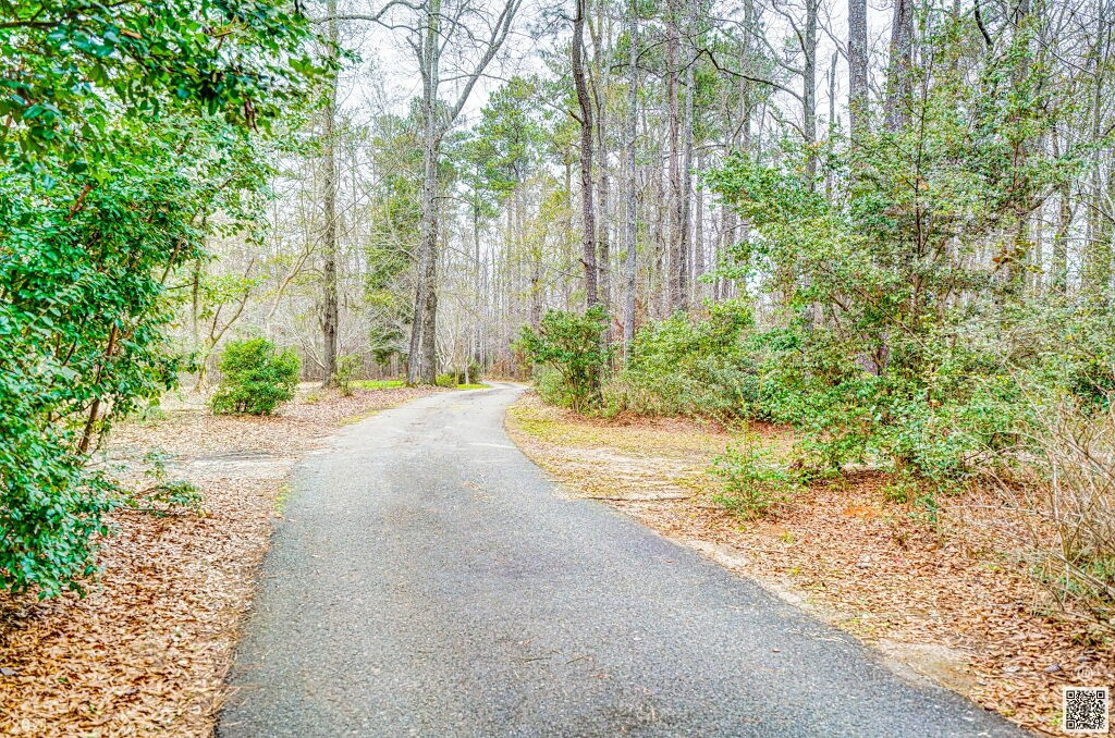 408 Cohen Road Waynesboro, GA 30830 - Photo 4 of 42