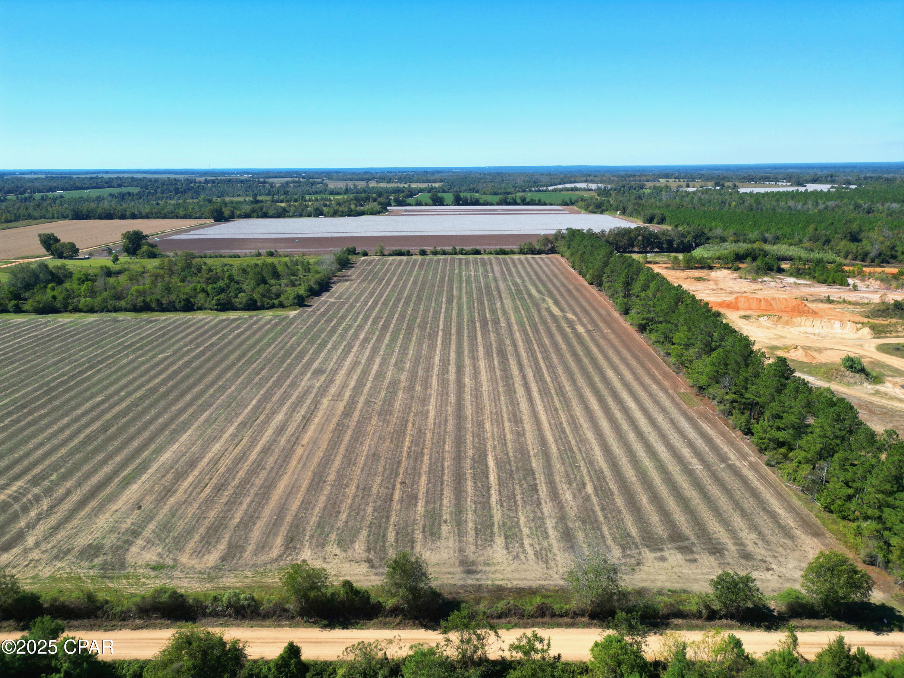 0 Reno Road Marianna, FL 32448 - Photo 1 of 13 Gallery Image 1