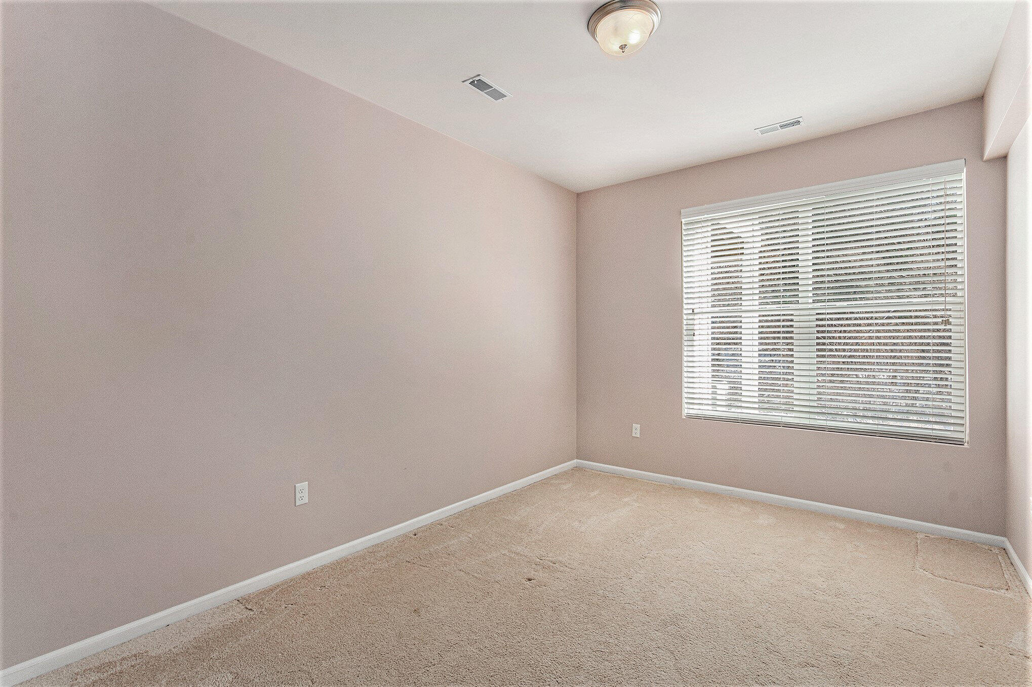 631 Pebblestone Lane Chelsea, MI 48118 - Photo 16 of 25 016_file_530