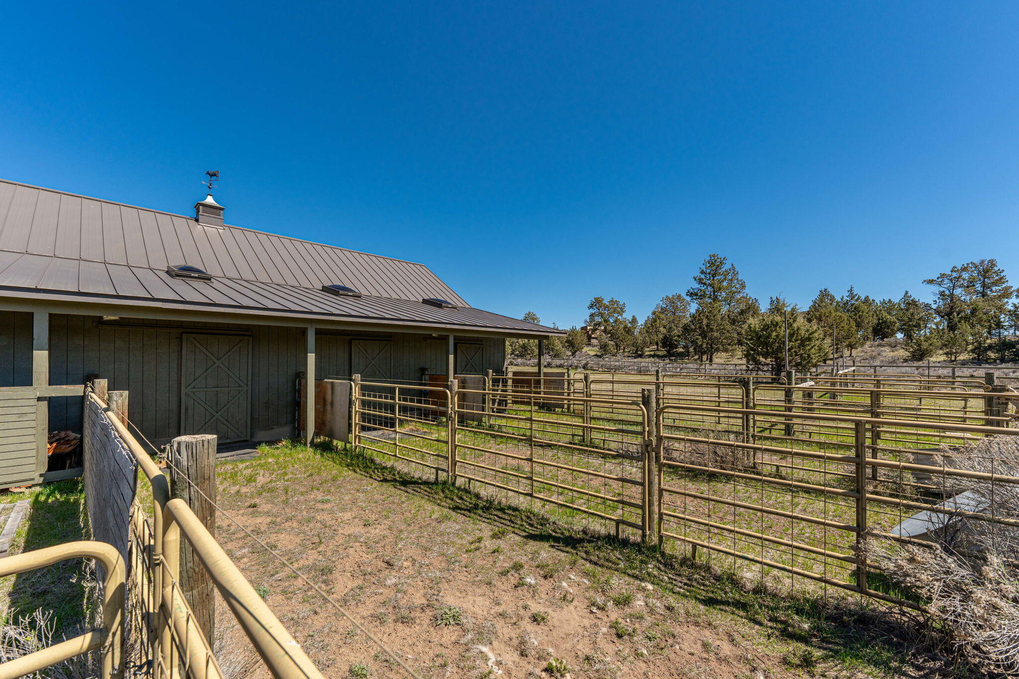 17375 Jordan Road Sisters, OR 97759 - Photo 58 of 63 4 stall barn with turn outs, tack room, and storage.