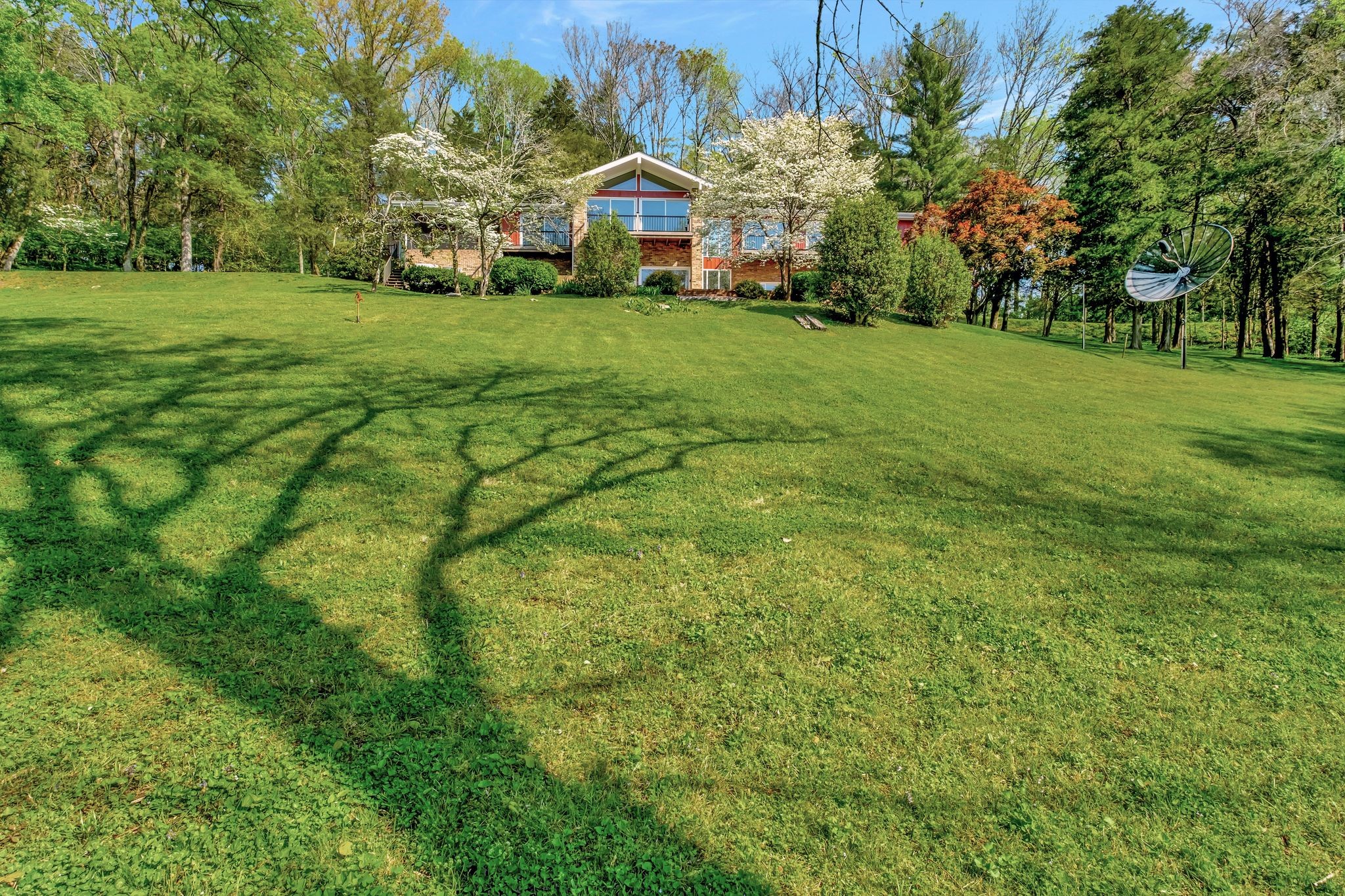 a view of a houses with yard and tree s