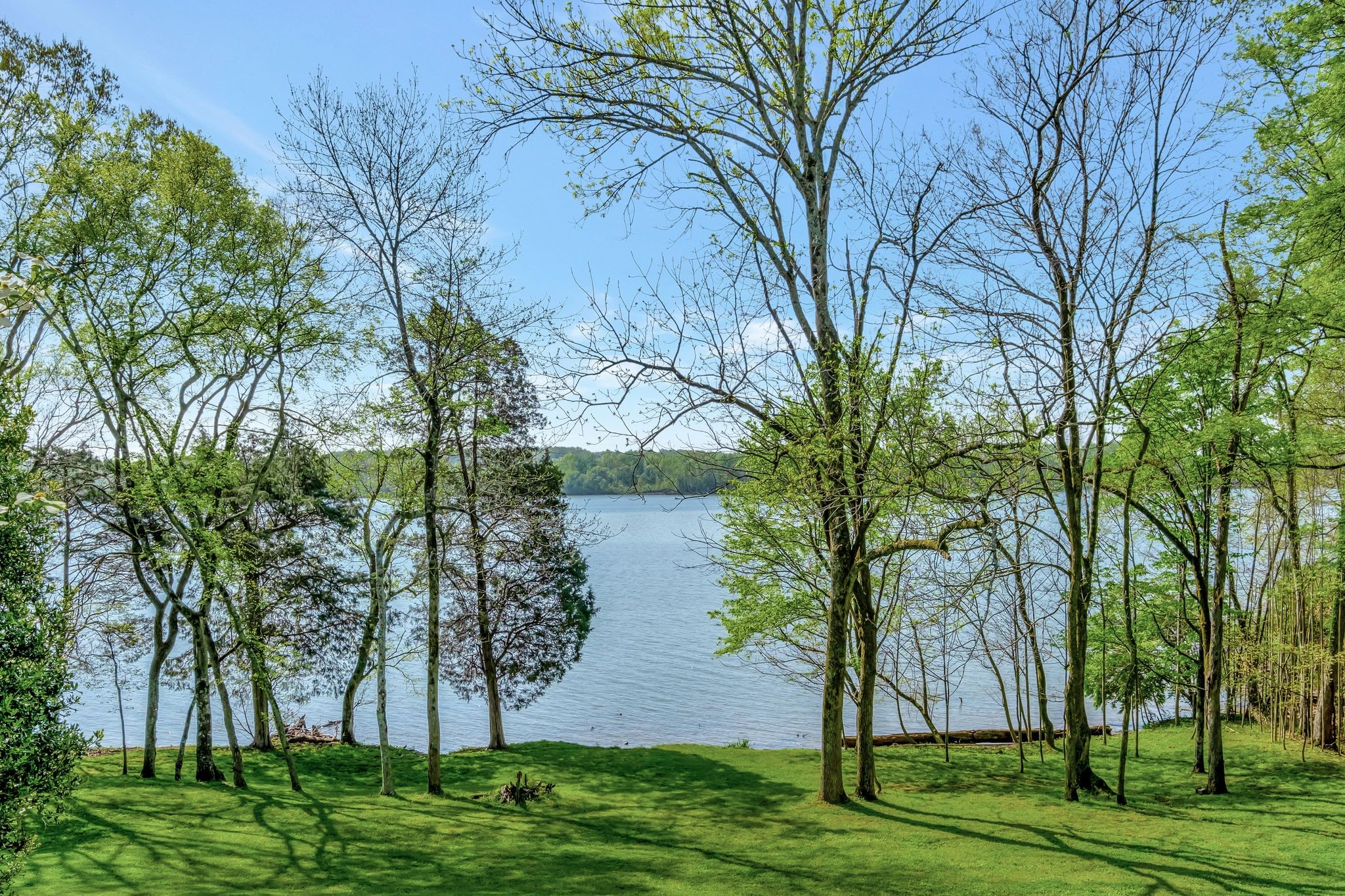 1524 Cherokee Road Gallatin, TN 37066 - Photo 4 of 65 a view of a backyard with large trees