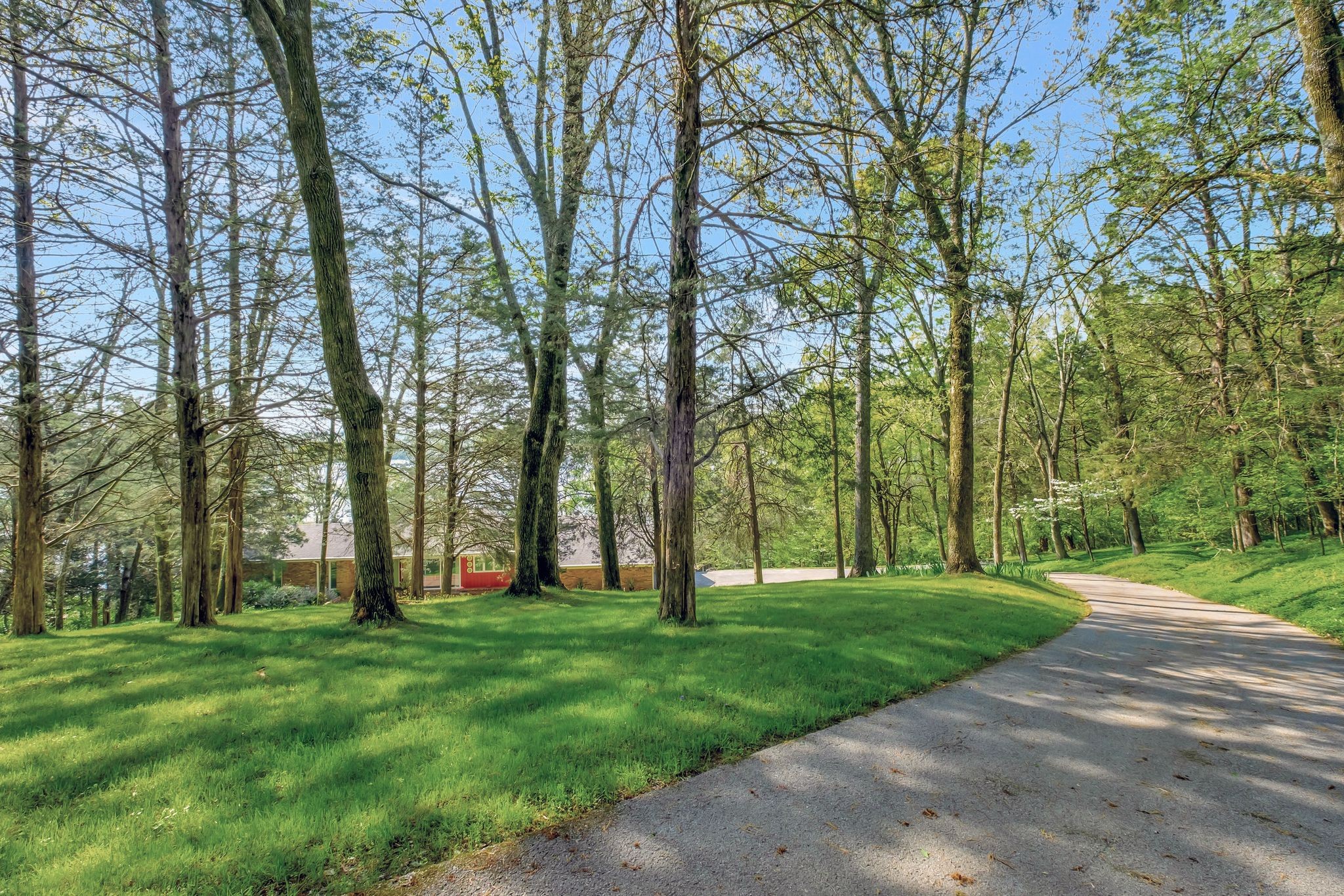 1524 Cherokee Road Gallatin, TN 37066 - Photo 5 of 65 a view of park space