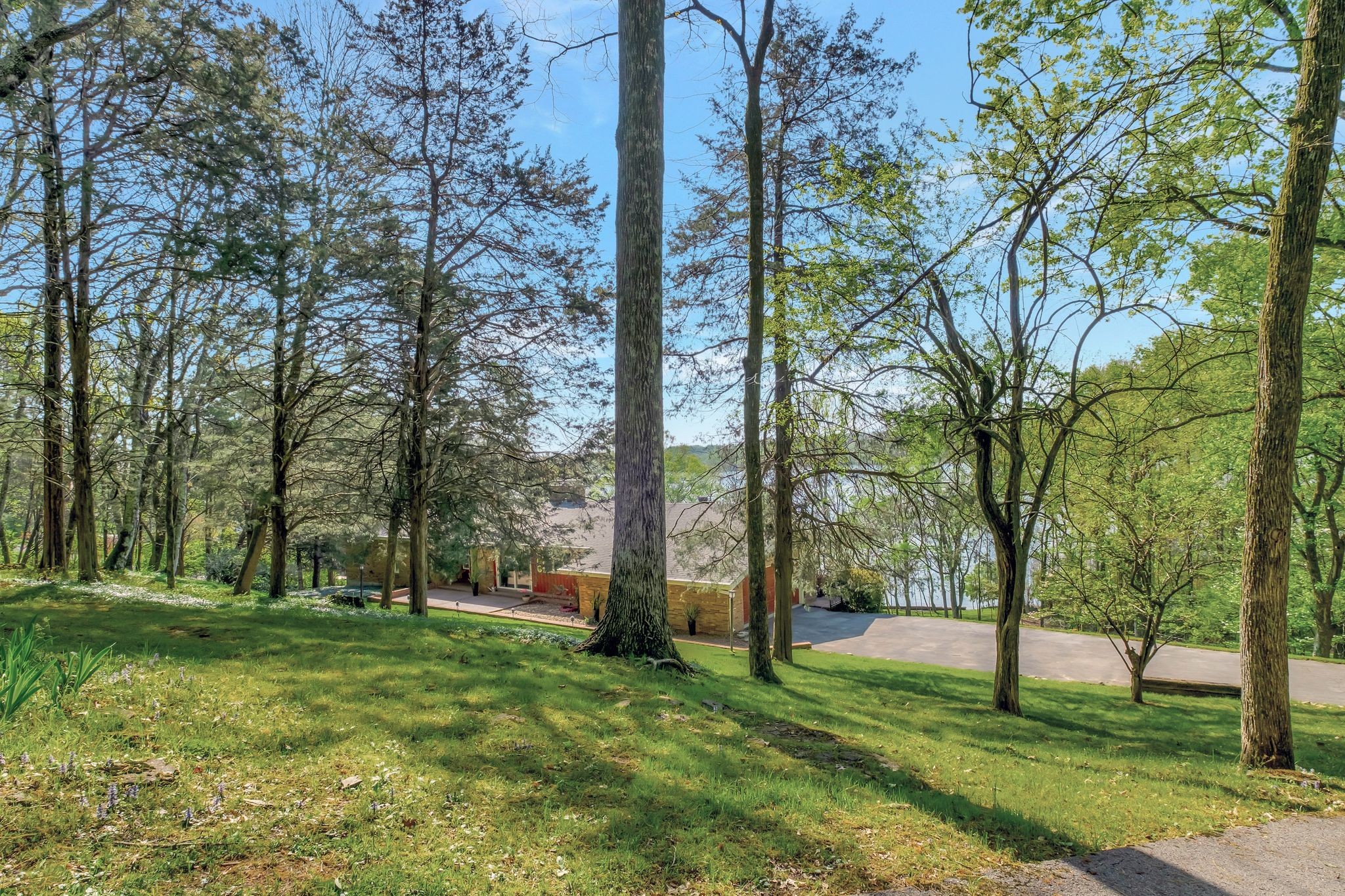 1524 Cherokee Road Gallatin, TN 37066 - Photo 6 of 65 a view of a park with large trees