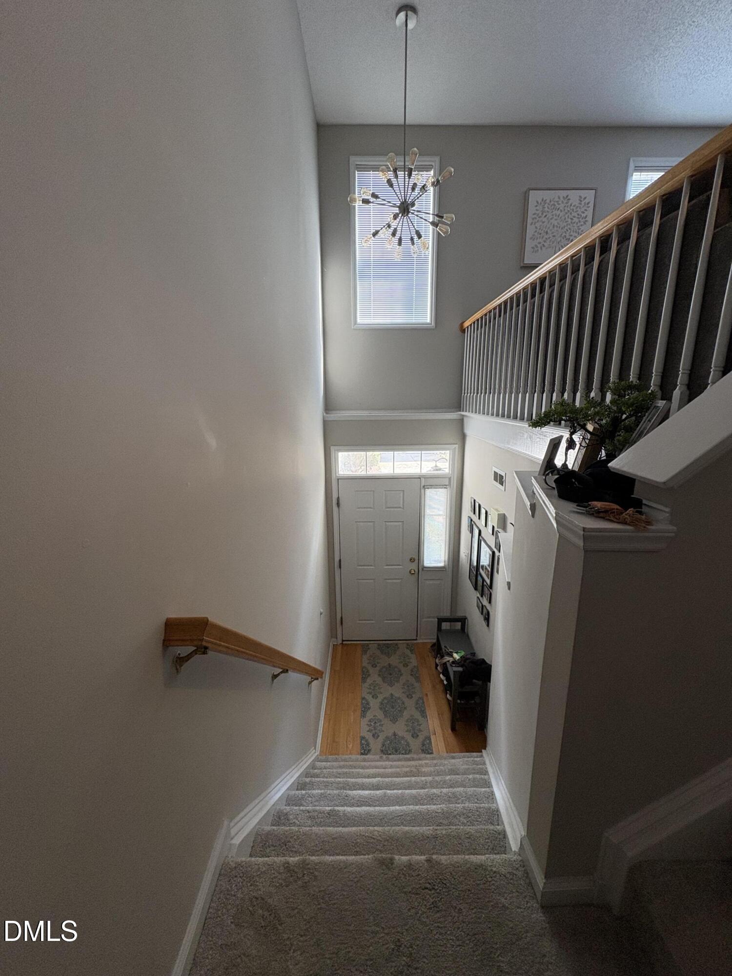 7342 Doverton Court Raleigh, NC 27615 - Photo 11 of 17 Front door /stairs