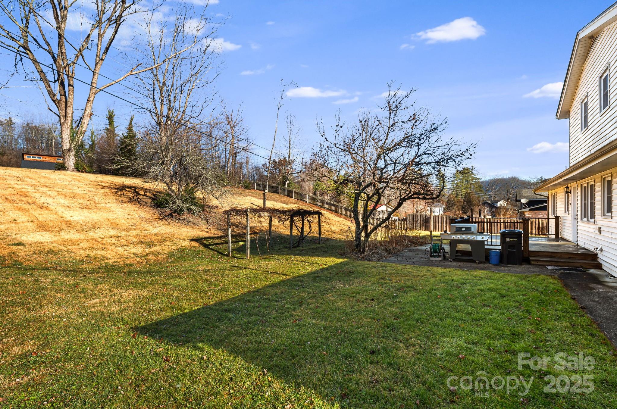 154 Harris Street Spruce Pine, NC 28777 - Photo 34 of 37 a view of a park with large trees
