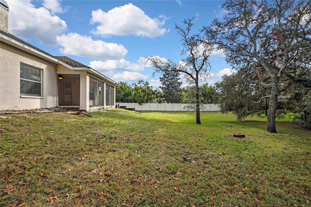 12052 Jade Avenue Spring Hill, FL 34609 - Photo 32 of 45 a backyard of a house with lots of green space