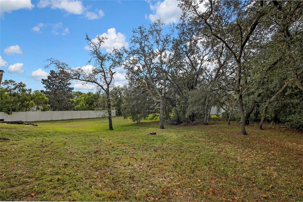12052 Jade Avenue Spring Hill, FL 34609 - Photo 44 of 45 a big yard with lots of green space and fog