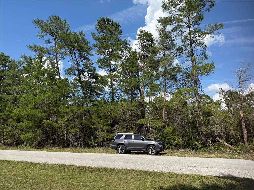 Aspen Street Eustis, FL 32736 - Photo 12 of 19 a view of house with tall trees