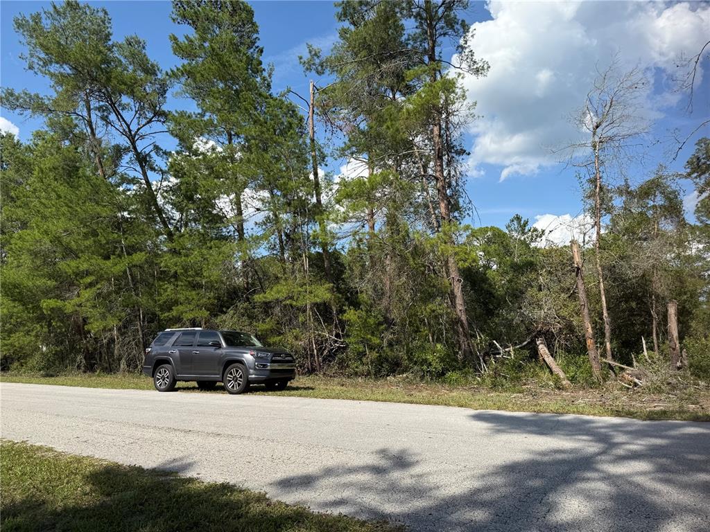 Aspen Street Eustis, FL 32736 - Photo 14 of 19 a car parked on the side of the road