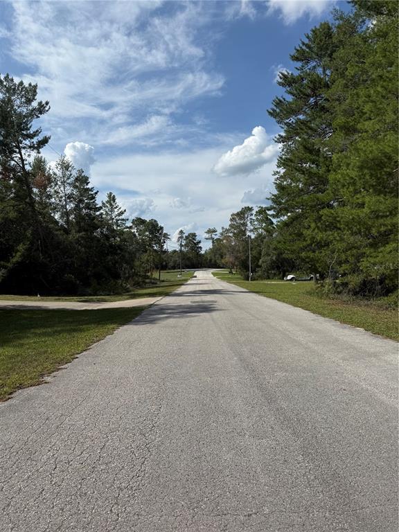 Aspen Street Eustis, FL 32736 - Photo 18 of 19 a view of a terrace with lake view