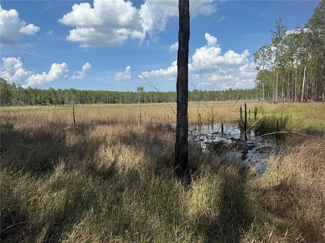 a view of lake with green space