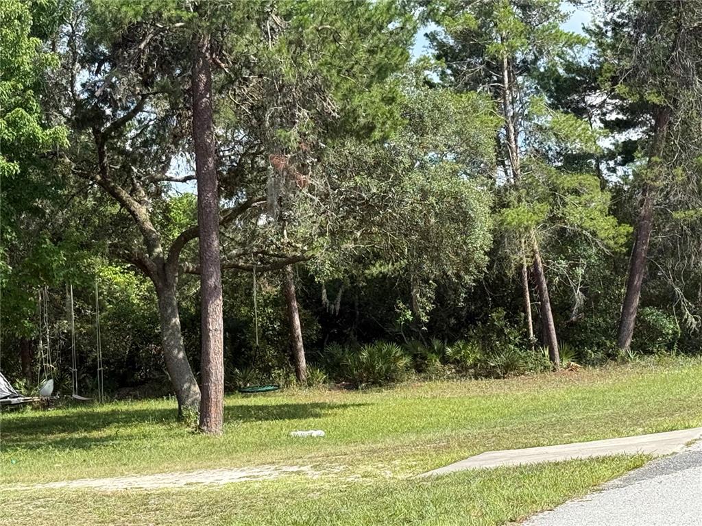 Aspen Street Eustis, FL 32736 - Photo 5 of 19 a view of a park