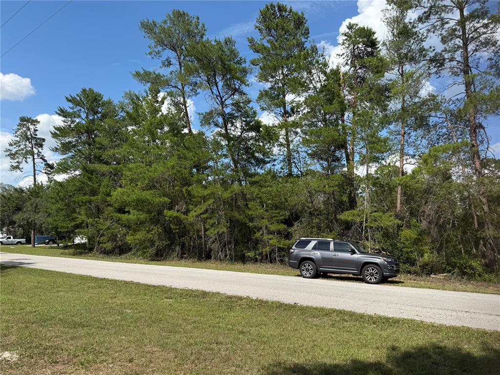 Aspen Street Eustis, FL 32736 - Photo 6 of 19 a house view with a play ground in front of it