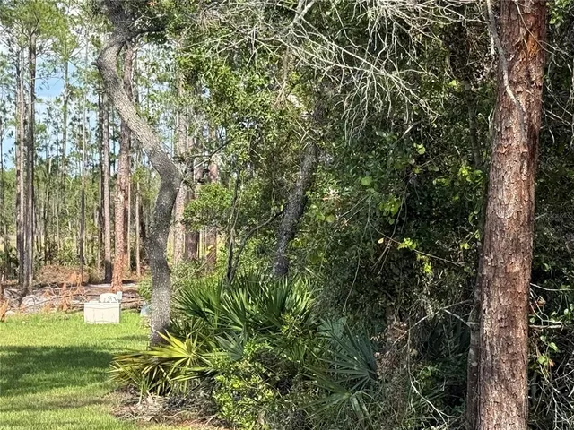 a view of yard with small space