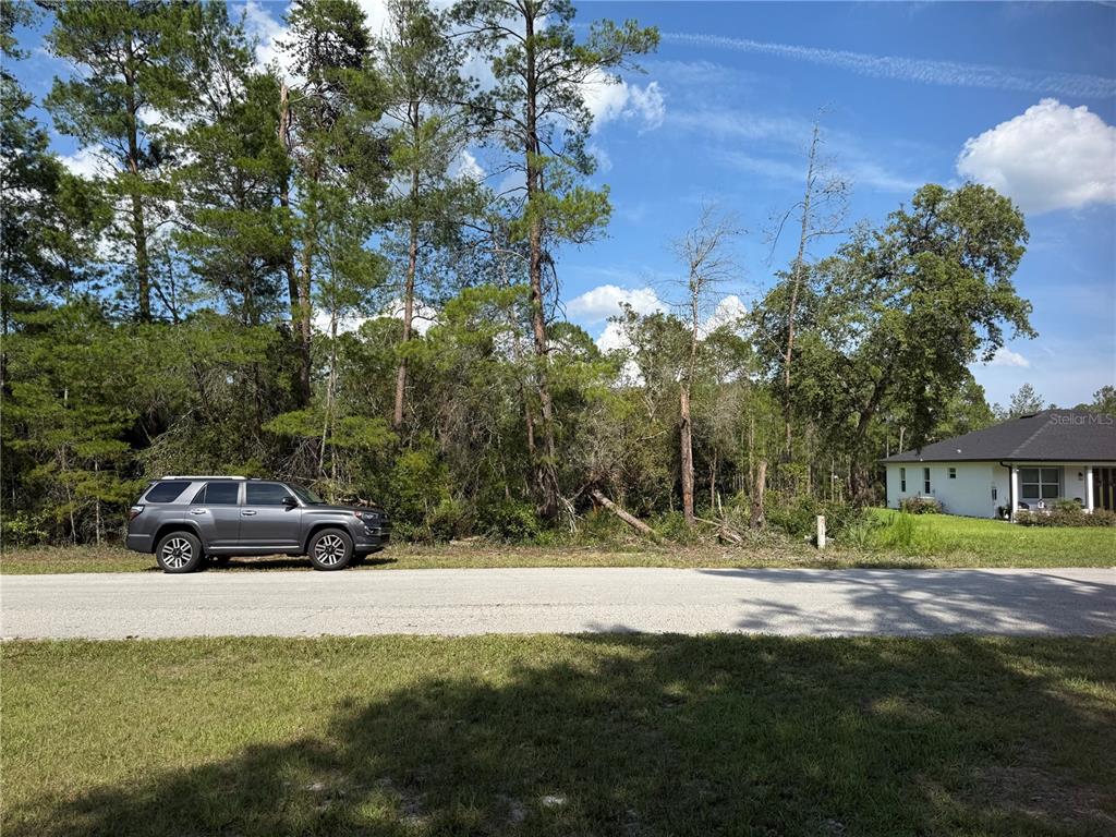 Aspen Street Eustis, FL 32736 - Photo 8 of 19 a view of street with parked cars
