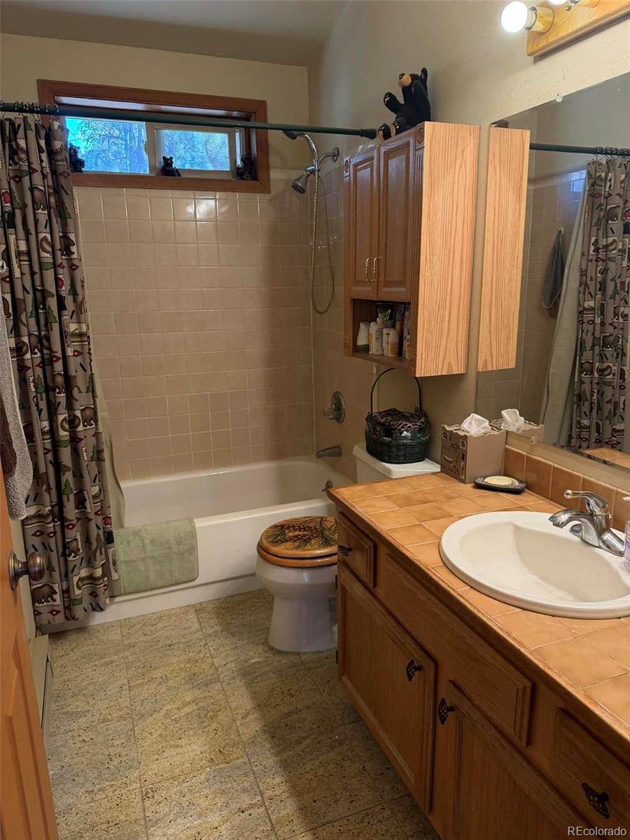 33623 Smith Road Pine, CO 80470 - Photo 14 of 47 Gallery Image 14