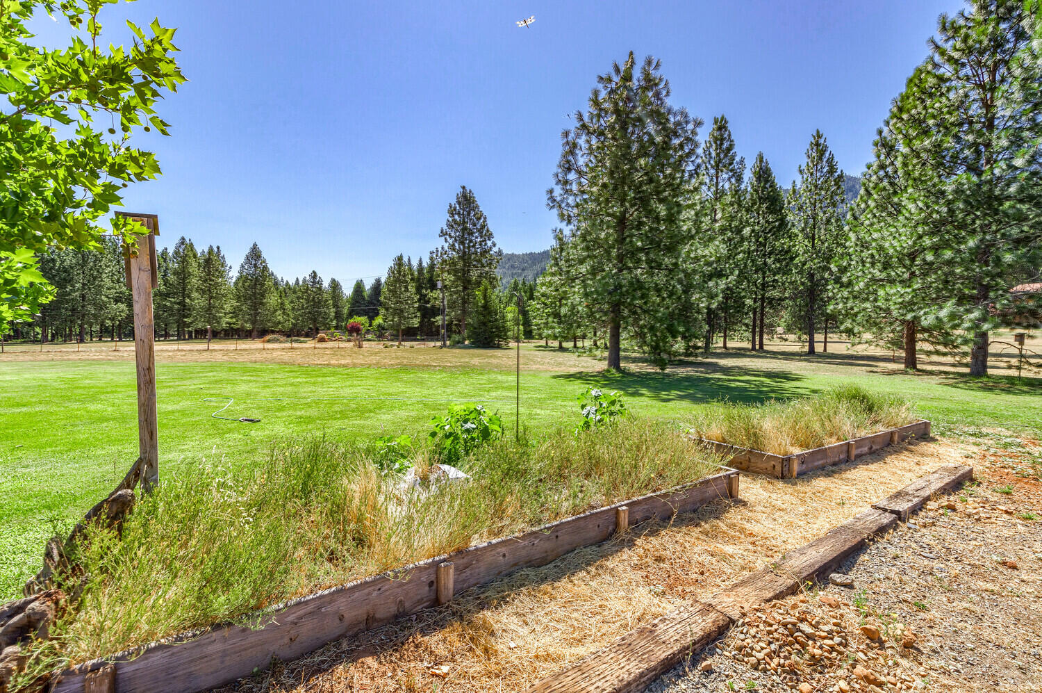 2343 Fish Hatchery Road Grants Pass, OR 97527 - Photo 18 of 50 15_ApexFH_15_mls