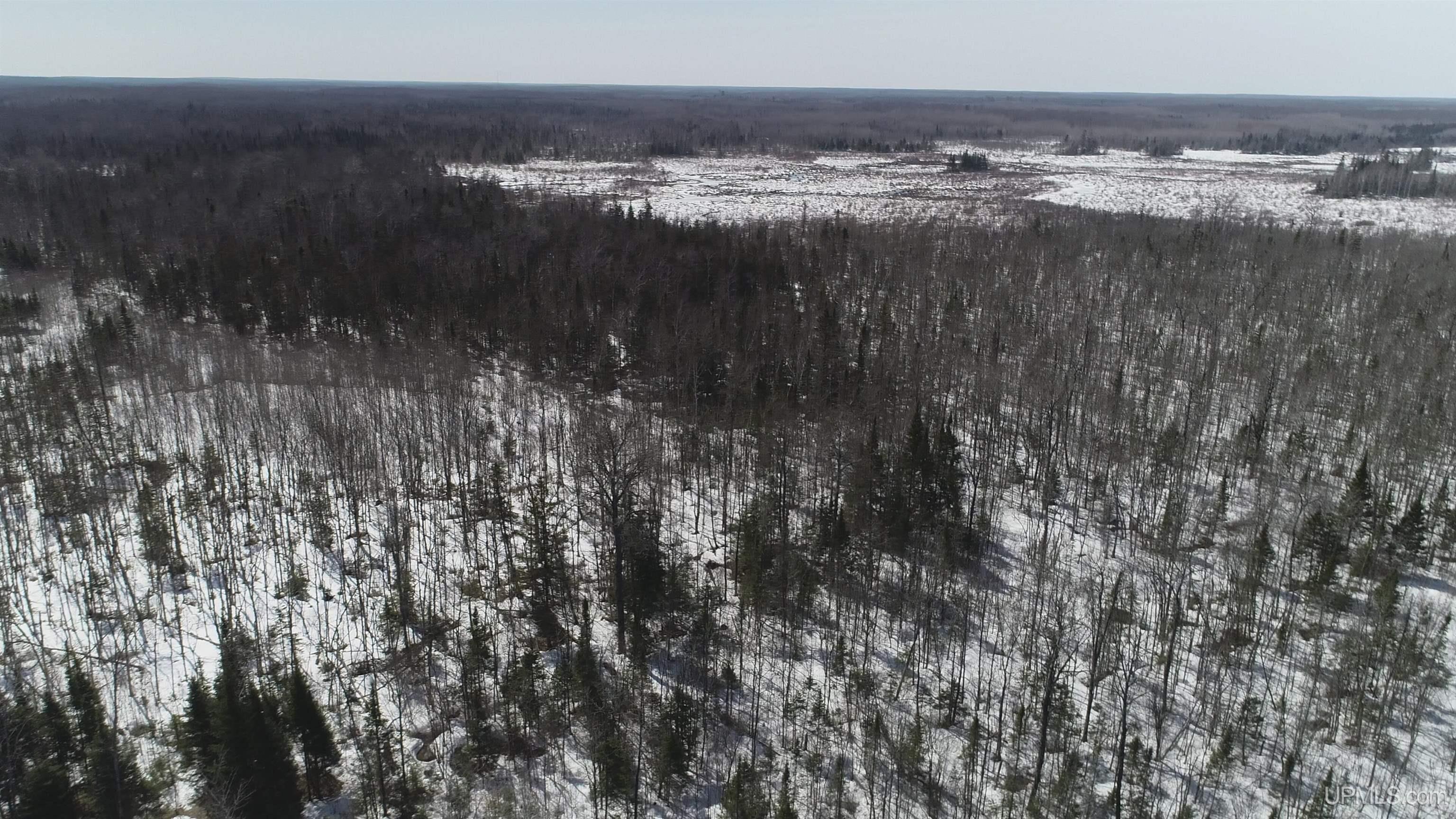 V25 Rd Trenary Mi 49891 Road Rapid River, MI 49878 - Photo 12 of 28